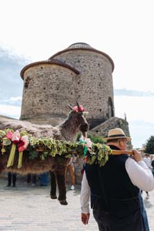 Festival vína VOC Znojmo